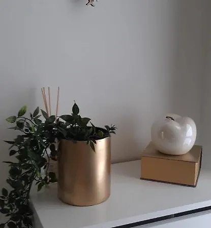 L'angolo D'amare 아파트 *