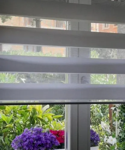 L'angolo D'amare ليريسي